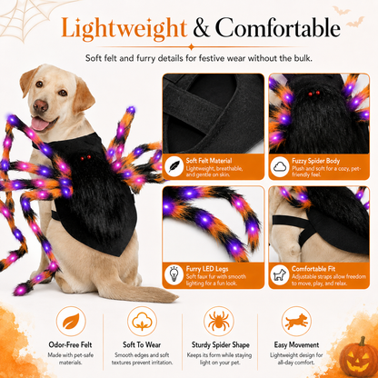 🔥Halloween Spider Dog Costume with 64 Led